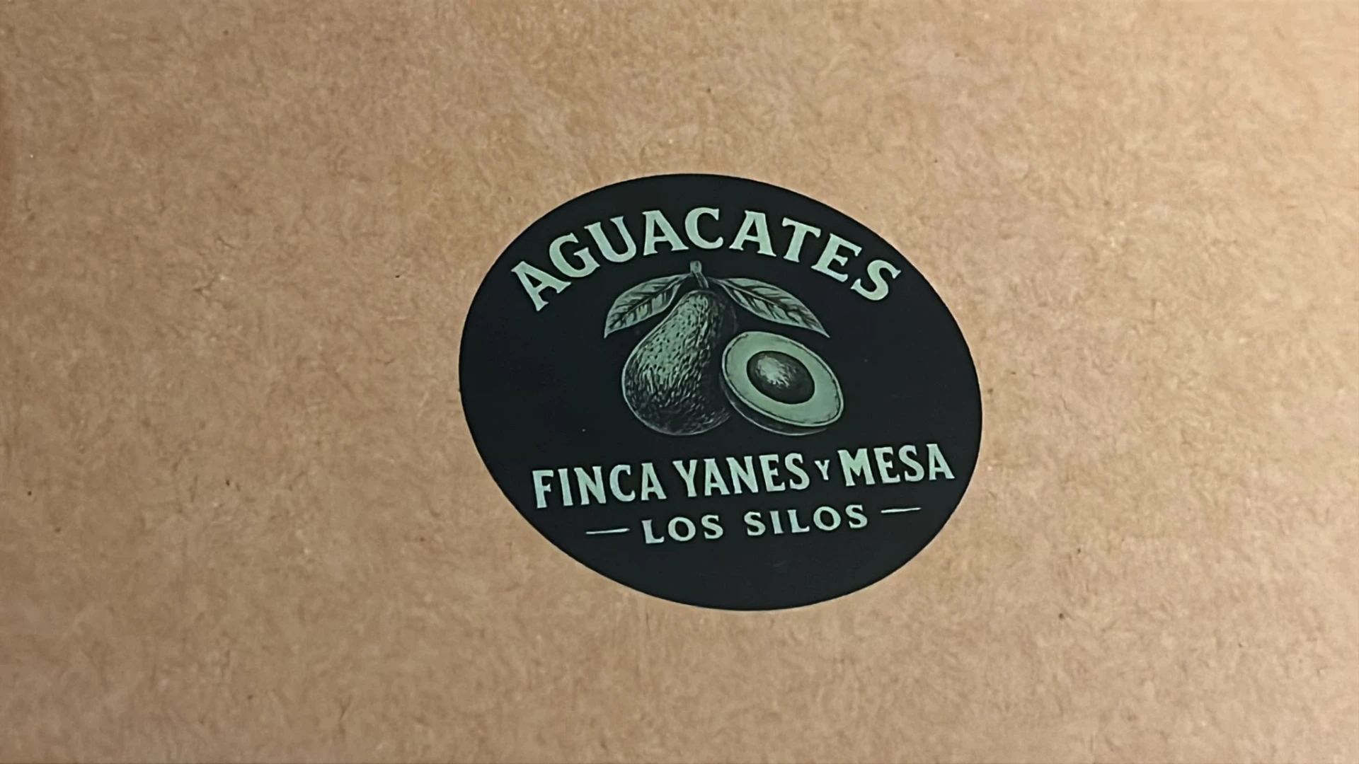 Finca Yanes y Mesa — imagen 9